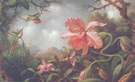 Martin Johnson Heade Hummingbirds and Two Varieties of Orchids